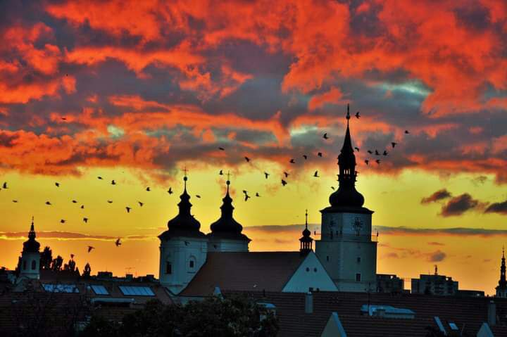 Večerná Trnava